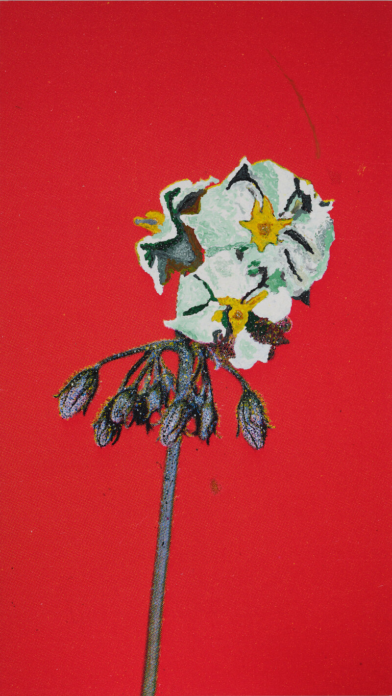 Ziad Antar, <i>Potato red.flower (Spunta)</i>, 2024. Acrylic on canvas 86 5/8 x 53 1/8 in (220 x 135 cm)